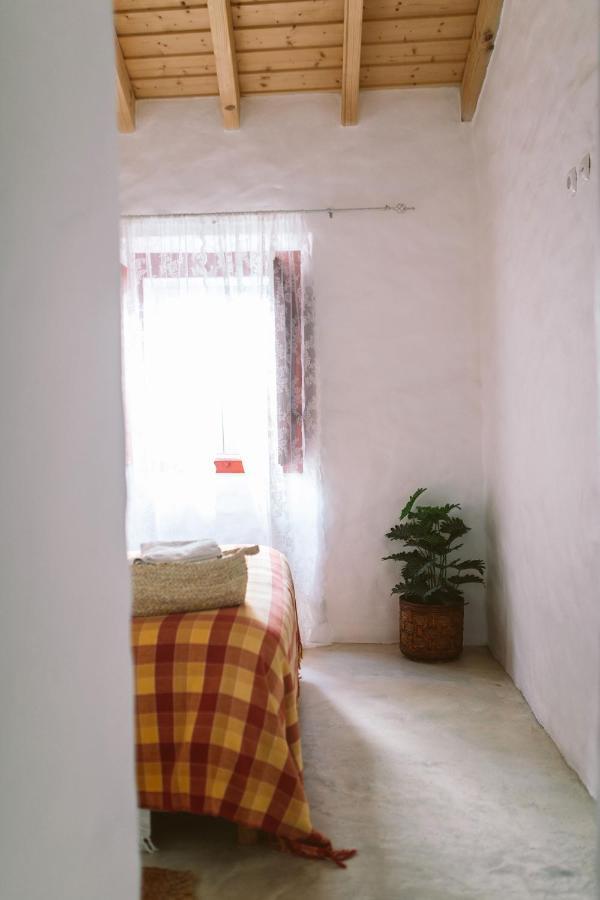Papoila Villa Grândola Exterior photo